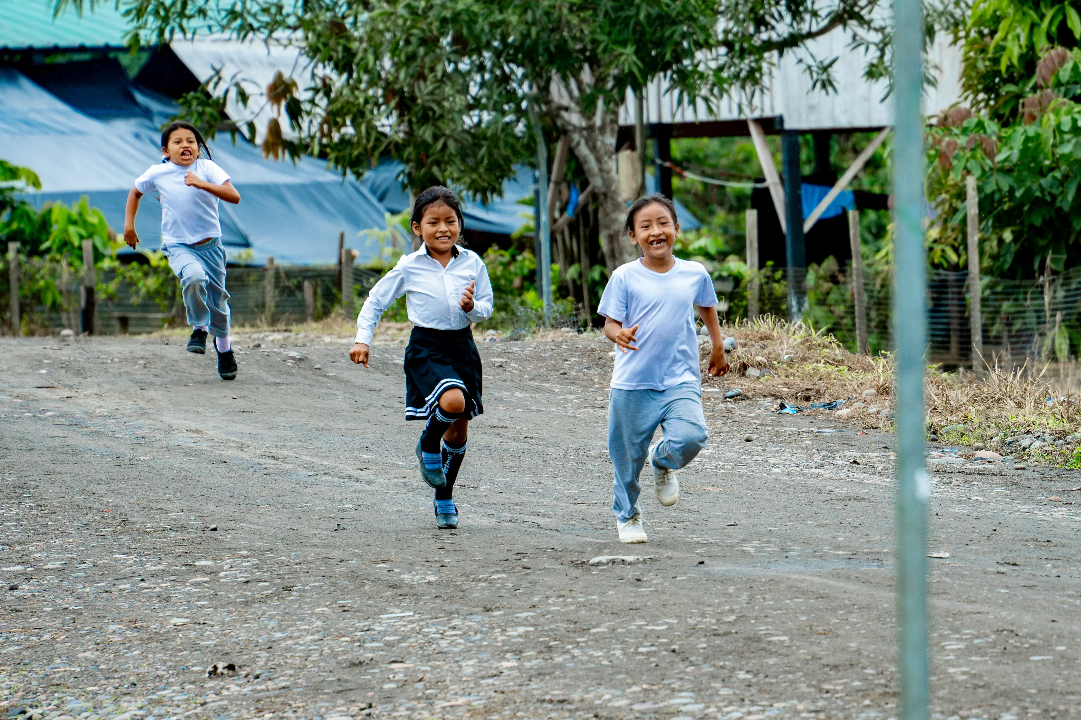 ODS 5: Igualdad de Género