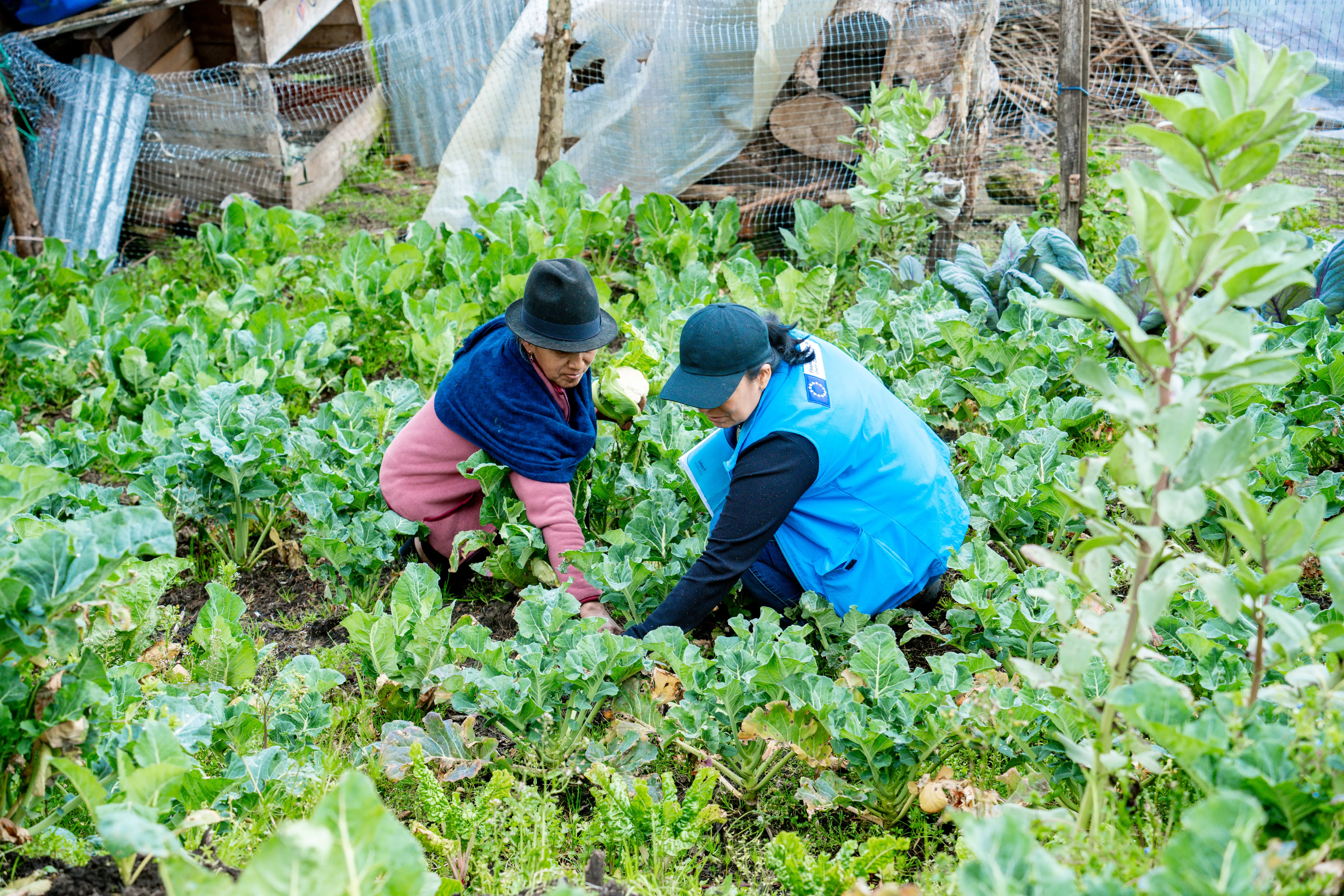 ODS 11: Comunidades Sostenibles